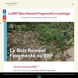 Le BRF (Bois Raméal Fragmenté) en paillage