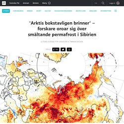 "Arktis bokstavligen brinner" – forskare oroar sig över smältande permafrost i Sibirien