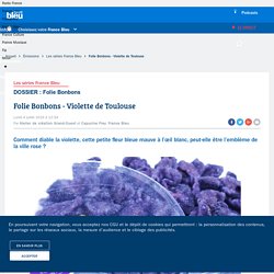 Folie Bonbons : Violette de Toulouse