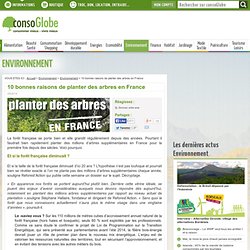 10 bonnes raisons de planter des arbres en France