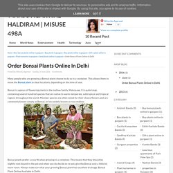 Order Bonsai Plants Online In Delhi