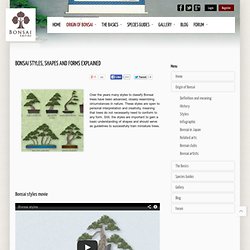 Bonsai styles, shapes and forms explained