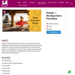 Book Hampi Trip & Tour Packages With Hikerwolf