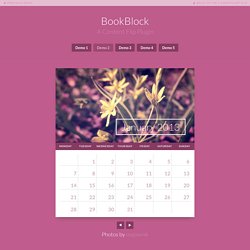 BookBlock: A Content Flip Plugin - Demo 2
