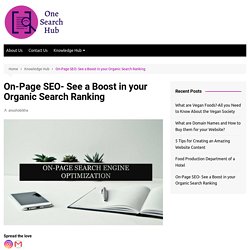 On-Page SEO- See a Boost in your Organic Search Ranking