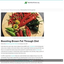 Boosting Brown Fat Through Diet