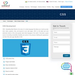 CSS web development company USA