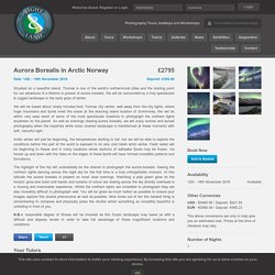 Aurora Borealis photography tours