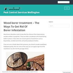 Wood borer treatment – The Ways To Get Rid Of Borer Infestation