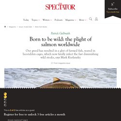 Born to be wild: the plight of salmon worldwide