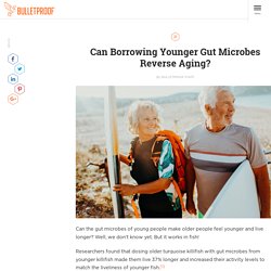 Can Borrowing Younger Gut Microbes Reverse Aging?