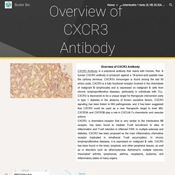 Boster Bio - Overview of CXCR3 Antibody