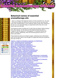 Botanical names of essential aromatherapy oils