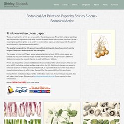 Botanical Art Prints on Paper