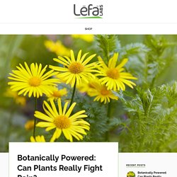 Botanically Powered: Can Plants Really Fight Pain?