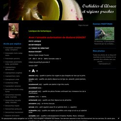 Lexique de botanique. : Orchidées sauvages d'Alsace et des Vosges