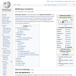 Bothrops insularis - Wikipedia