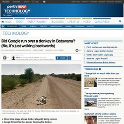 Did Google run over a donkey in Botswana? (No, it's just walking backwards)