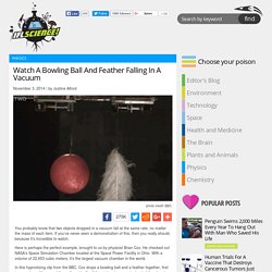 Une balle de Bowling et une plume tombe dans une chambre sans air