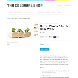 Boxcar Planter / Ash &amp; Bone White – The Colossal Shop