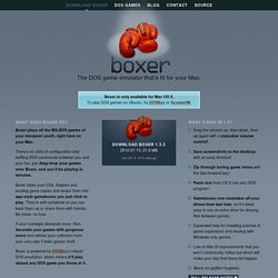 Boxer