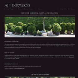 Boxwood Cultivars
