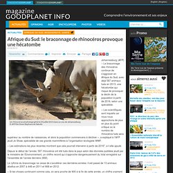 Afrique du Sud: le braconnage de rhinocéros provoque une hécatombe