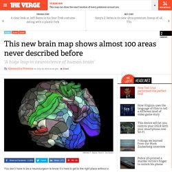 This new brain map shows almost 100 areas never described before