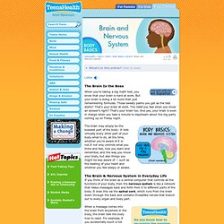 Brain and Nervous System
