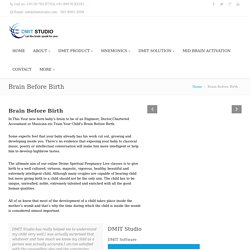 Brain Before Birth