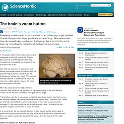 The brain’s zoom button