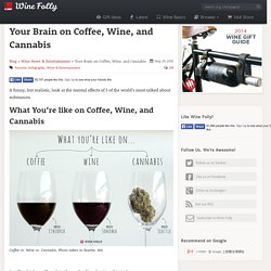 Your Brain on Coffee, Wine, and Cannabis