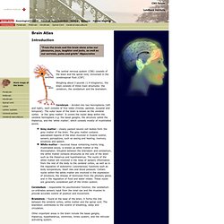 Brain Atlas - Introduction