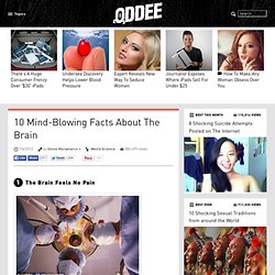 10 Mind-Blowing Facts About The Brain - Oddee.com (brain, genius...)