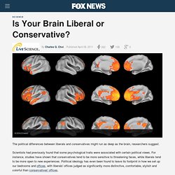 Is Your Brain Liberal Or Conservative?