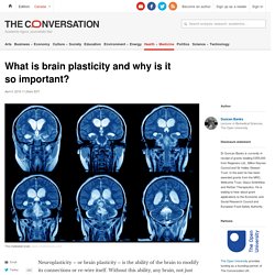 What is brain plasticity and why is it so important?