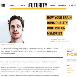 How your brain runs quality control on memories