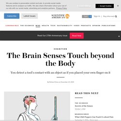 The Brain Senses Touch beyond the Body