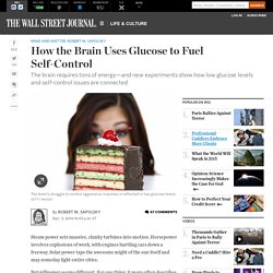 How the Brain Uses Glucose to Fuel Self-Control
