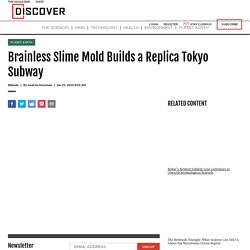 Brainless Slime Mold Builds a Replica Tokyo Subway