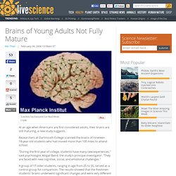 brain formation
