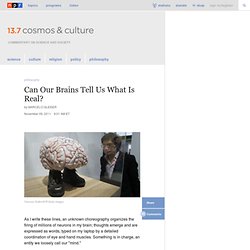 Can Our Brains Tell Us What Is Real? : 13.7: Cosmos And Culture