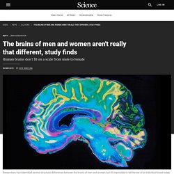 The brains of men and women aren’t really that different, study finds