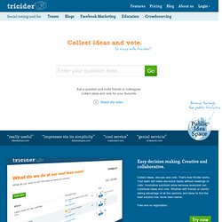 Online Brainstorming and Voting. Amazingly Easy and Free 