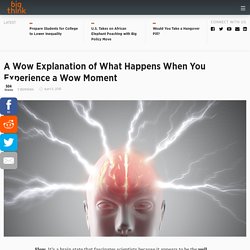 Flow Brainwaves Spike Between Daydreaming and Dreaming Dreaming