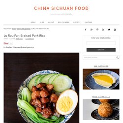 Lu Rou Fan-Braised Pork Rice