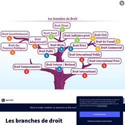 Les branches de droit by adutremee on Genially