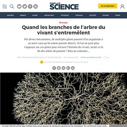 Quand les branches de l’arbre du vivant s’entremêlent