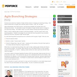 Agile Branching Strategies