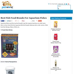 Best Fish Food Brands For Aquarium Fishes